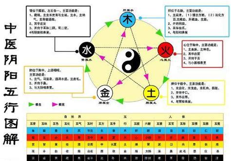 金生水職業